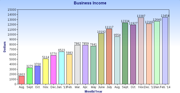 $13,454 in February Business Income Income Chart